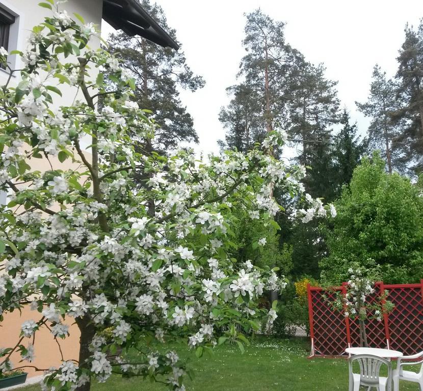 Ferienwohnung Kerth Sankt Kanzian am Klopeiner See Екстериор снимка